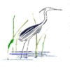 Ocean Meadows Golf Club - Public Logo