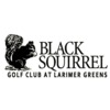 Black Squirrel Golf Club - Public Logo