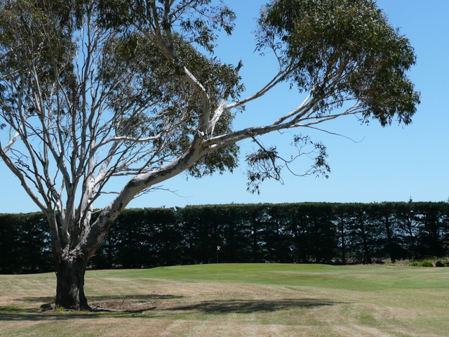 Greendale golf course coupons