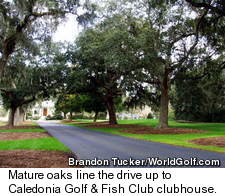 Caledonia Golf & Fish Club
