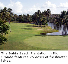 Bahia Beach Plantation