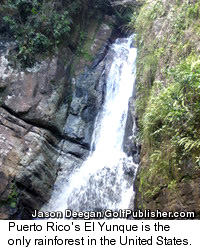 El Yunque
