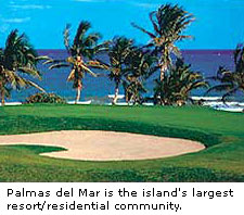 Palmas del Mar