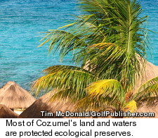 Cozumel Guide