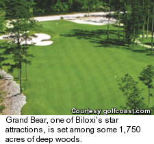 Grand Bear