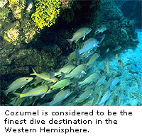 Inside Cozumel