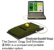 Dancin Dogg Golf Simulator