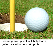 Chip Shot