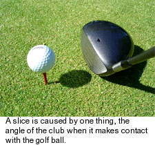 Slice