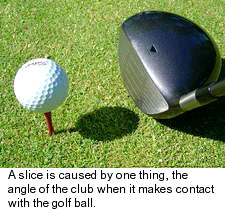 Slice