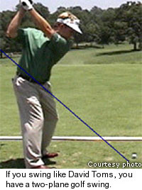 David Toms Golf Swing