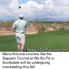 Saguaro Course at We-Ko-Pa - Desert Clears