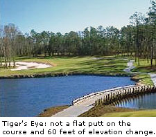 Tiger's Eye Golf Links