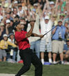 Tiger Woods